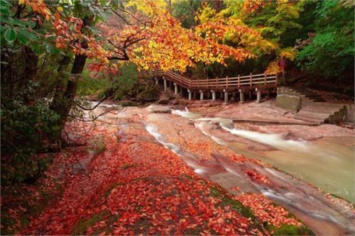 聚焦文旅融合发展 众专家四川光雾山论道